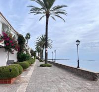 Die Strandpromenade in La Manga del Mar Menor, Spanien, gesäumt von Palmen und Lampen.