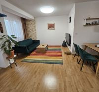 Wohnzimmer einer 3-Zimmer-Wohnung mit einem bunten Teppich und einem Boden in Holzoptik.