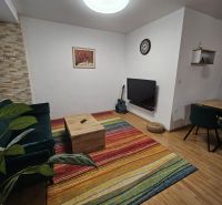 Wohnzimmer in einer 3-Zimmer-Wohnung mit einem bunten Teppich und einem Boden in Holzoptik.