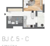 Grundriss einer Einzimmerwohnung mit Holzboden, Kochnische und Badezimmer.