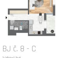 Grundriss einer Einzimmerwohnung mit Holzboden, Küche und Badezimmer.