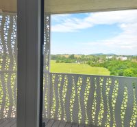 Balkon mit Panoramablick und Holzboden in einer 2-Zimmer-Wohnung.