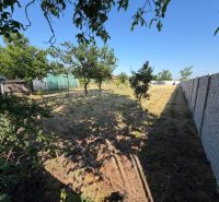 Ein Garten bei einem Einfamilienhaus in Nesvady mit Obstbäumen und einem Folientunnel.