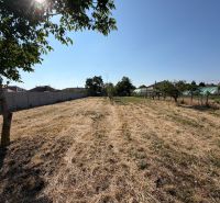 Grundstück mit Obstbäumen und Gras in der Stadt Nesvady bei Einfamilienhäusern.