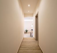 Der Flur im Einfamilienhaus mit einem Boden in Holzoptik und einer Pflanze am Ende.