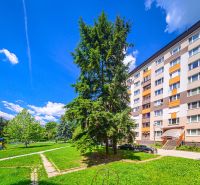 Wohnsiedlung Rimava in Rimavská Sobota mit einem Plattenbau, einem Kinderspielplatz und Grünflächen.