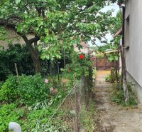 Der Garten beim Einfamilienhaus in Dulovce mit einem Baum und Blumen entlang des Weges.