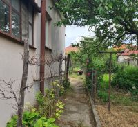 Ein Garten neben einem Einfamilienhaus in Dulovce mit einem Weg und Pflanzen.