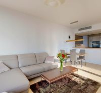 Wohnzimmer mit Sofa, Tisch, Küche und Holzboden in einer 3-Zimmer-Wohnung.