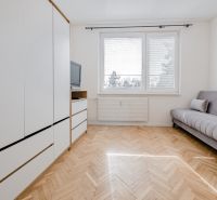 Einzimmerwohnung mit Holzboden, Sofa und Kleiderschrank.