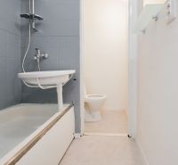 Badezimmer in einem Einzimmerapartment mit Dusche und Toilette, einfaches Design.