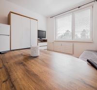 Einzimmerwohnung mit Holzboden, Sofa und Schrank, die Ausstattung umfasst auch einen Kühlschrank und einen Fernseher.