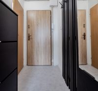 Eingangsbereich des Einzimmerapartments mit Holzdekor und schwarzen Möbeln.
