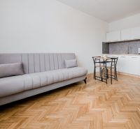 Einzimmerwohnung mit Holzboden, Sofa und Kochnische.
