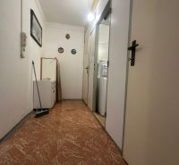 Der Flur in einer 2-Zimmer-Wohnung mit Holzboden, weißen Wänden und Licht.