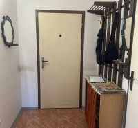 Diele in einer 2-Zimmer-Wohnung mit einer Garderobenwand und einem Schuhschrank.