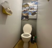 Toilette mit Wanddekoration und Stauraum in einer 2-Zimmer-Wohnung.