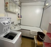 Badezimmer mit Waschmaschine und Badewanne in einer 2-Zimmer-Wohnung mit Holzdekor.