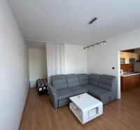 Stilvolles Wohnzimmer in einer 3-Zimmer-Wohnung mit Holzboden.