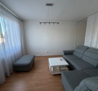 Wohnzimmer mit grauem Sofa, Couchtisch und Boden in Holzoptik in einer 3-Zimmer-Wohnung.