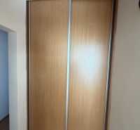 Ein Schrank mit Schiebetüren und einem Boden mit Holzdekor in einer 3-Zimmer-Wohnung.