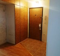 Eingangsflur mit Holzboden in einer 3-Zimmer-Wohnung mit Kleiderschränken.
