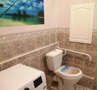 Badezimmer mit Toilette und Waschmaschine in einer 3-Zimmer-Wohnung, dekoratives Bild an der Wand.