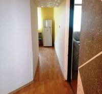 Der Flur in der 3-Zimmer-Wohnung mit einem Boden in Holzoptik, der zum Kühlschrank führt.