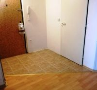 Flur einer 3-Zimmer-Wohnung mit Fliesen und Bodenbelag in Holzoptik.