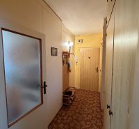 Flur einer 2-Zimmer-Wohnung mit Einbauschränken und Teppichboden.