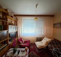 Wohnzimmer in einer Zweizimmerwohnung mit Regalen, Sesseln und einem Fenster mit weißen Vorhängen.