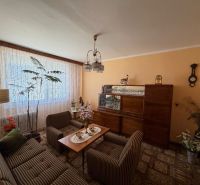 Wohnzimmer in einer Zweizimmerwohnung mit antiken Möbeln und grünen Pflanzen.