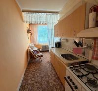 Schmale Küche in einer 2-Zimmer-Wohnung mit einem Gasherd und einem Blumenmuster auf dem Teppich.