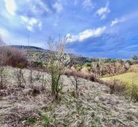 Hügelige Landschaft mit Gras und Sträuchern in der Umgebung von Banská Bystrica, geeignet zum Wohnen.