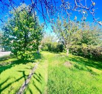 Der Garten des Einfamilienhauses in Žirany, Bezirk Nitra, mit Obstbäumen und Rasen.