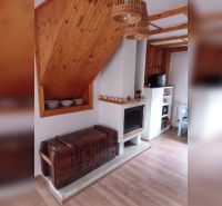 Innenraum eines Einfamilienhauses mit Kamin, Holzboden-Dekor und Stauraum.