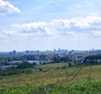 Weinberge in der Vtáčikova cesta in Bratislava - Rača mit Panoramablick auf die Stadt.