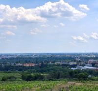 Blick von den Weinbergen auf der Vtáčikova-Straße in Bratislava - Rača auf die Stadt.