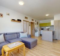 Wohnzimmer mit Ecksofa und Küche, Boden mit Holzdekor.
