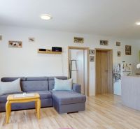 Wohnzimmer in einer 3-Zimmer-Wohnung mit Holzboden und grauem Sofa.