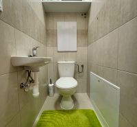 Toilette in einer 3-Zimmer-Wohnung mit Regal und grünem Teppich.