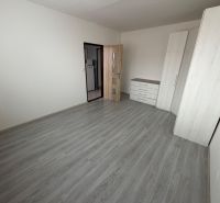 Ein Zimmer mit Holzboden, Schränken und einer Kommode in einer Einzimmerwohnung.