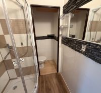 Kompaktes Badezimmer in einer Einzimmerwohnung mit Holzboden und Duschkabine.