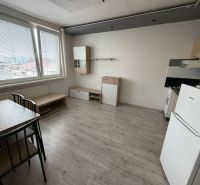Wohnbereich eines Einzimmerapartments mit Kochnische und Holzboden.