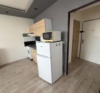 Küche in einer Einzimmerwohnung mit Kühlschrank und Boden in Holzoptik.