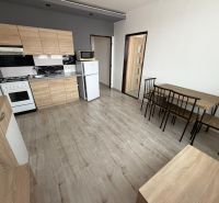 Küche mit Holzelementen und Esstisch in einer Einzimmerwohnung.