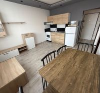 Küche und Essbereich mit Holzdekorboden in einer Einzimmerwohnung.