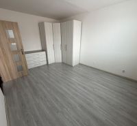 Ein Zimmer in einer Einzimmerwohnung mit einem Holzboden und einem Einbauschrank.