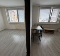 Innenraum einer 1-Zimmer-Wohnung mit Holzboden und Tisch.