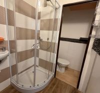 Duschkabine und Boden mit Holzdekor im Badezimmer einer Einzimmerwohnung.